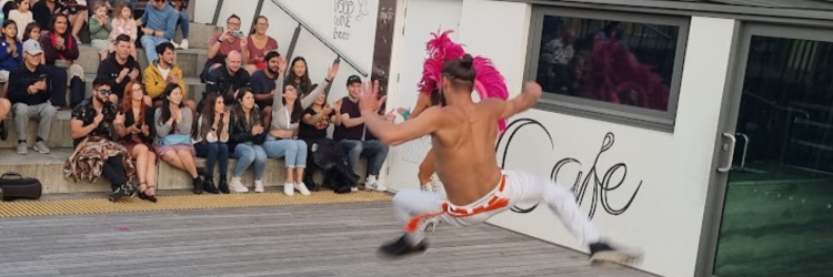 CAPOEIRA: BRAZILIAN MARTIAL ARTS